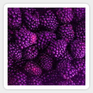 Fresh Delicious Blackberries in Purple Sticker